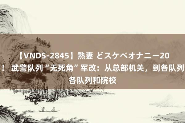 【VNDS-2845】熟妻 どスケベオナニー20連発！！ 武警队列“无死角”军改：从总部机关，到各队列和院校