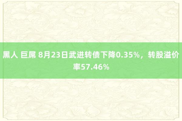 黑人 巨屌 8月23日武进转债下降0.35%，转股溢价率57.46%