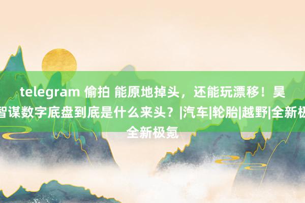 telegram 偷拍 能原地掉头，还能玩漂移！昊铂智谋数字底盘到底是什么来头？|汽车|轮胎|越野|全新极氪