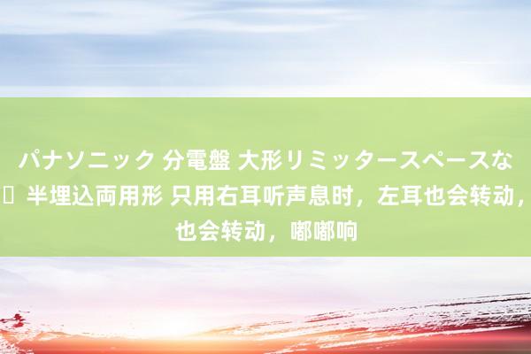 パナソニック 分電盤 大形リミッタースペースなし 露出・半埋込両用形 只用右耳听声息时，左耳也会转动，嘟嘟响